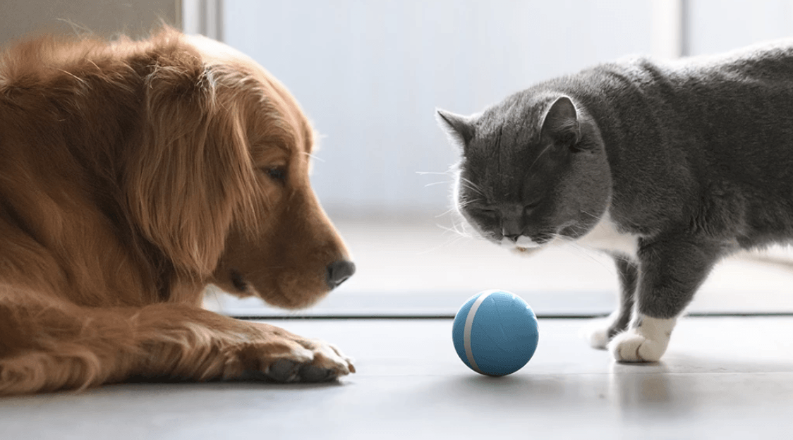 #1 Best Selling - Smart Motion Ball For Pets!